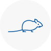 Mice Exterminators In Harborne